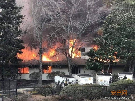 44人死！25万人大撤退！中国总领馆紧急通知！这里变成人间炼狱！有人疯狂逃窜，有人吓到趴下，还有人，向灾难冲去...-35.jpeg