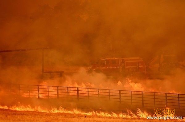 44人死！25万人大撤退！中国总领馆紧急通知！这里变成人间炼狱！有人疯狂逃窜，有人吓到趴下，还有人，向灾难冲去...-54.jpeg