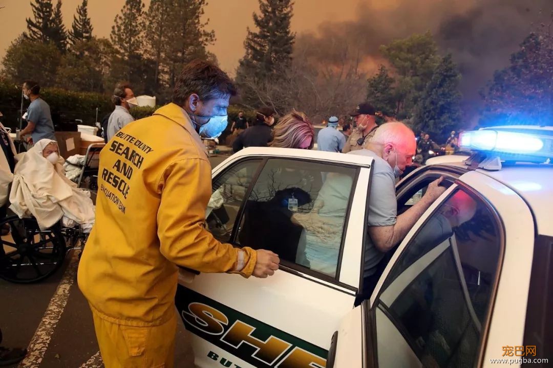 44人死！25万人大撤退！中国总领馆紧急通知！这里变成人间炼狱！有人疯狂逃窜，有人吓到趴下，还有人，向灾难冲去...-113.jpeg