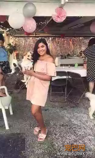 拯救悲伤流浪犬？仪式感对狗狗来说同样重要~-4.jpeg