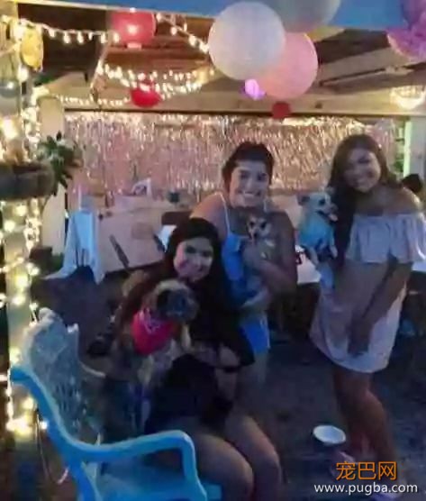 拯救悲伤流浪犬？仪式感对狗狗来说同样重要~-6.jpeg