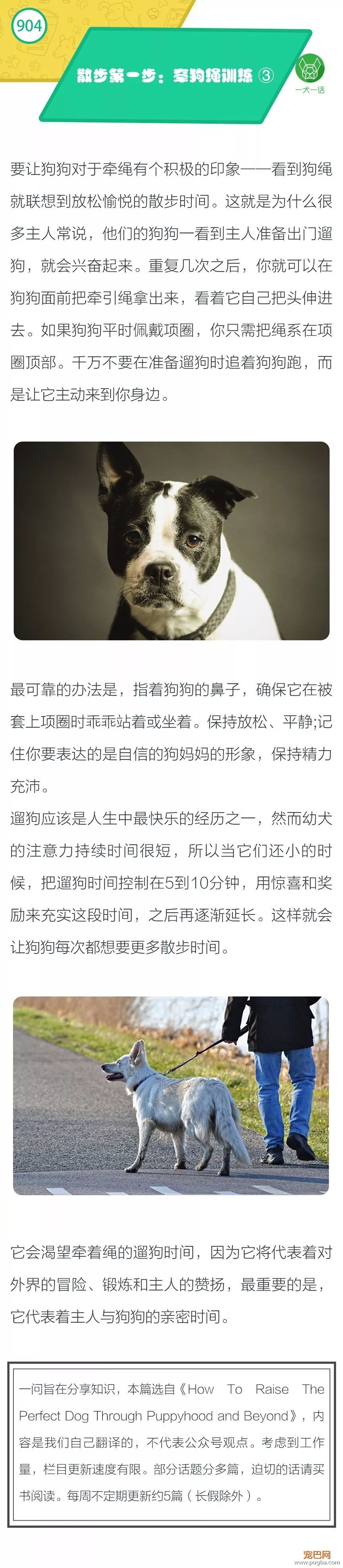 散步第一步：牵绳训练③-1.jpeg