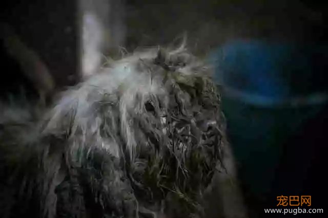 D&G设计师公然辱华，请带着你的歧视回家！-38.jpeg