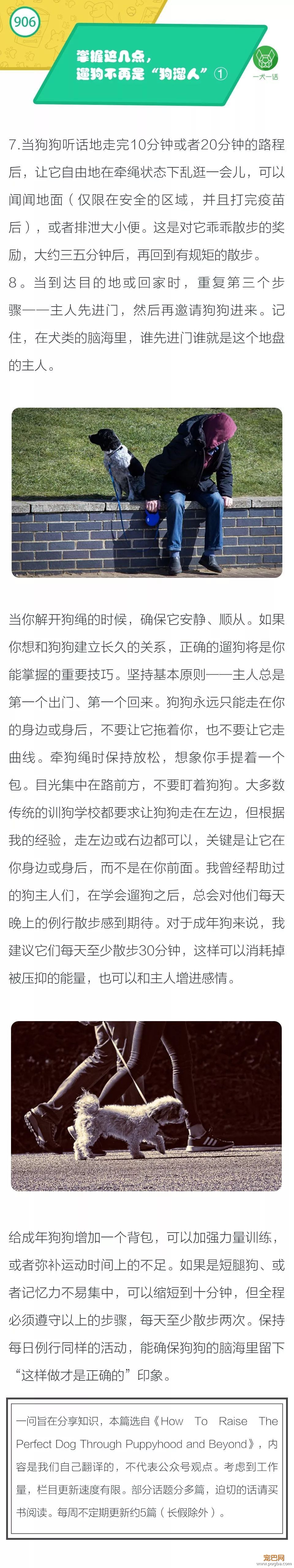 掌握这几点，遛狗不再是“狗遛人”！②-1.jpeg