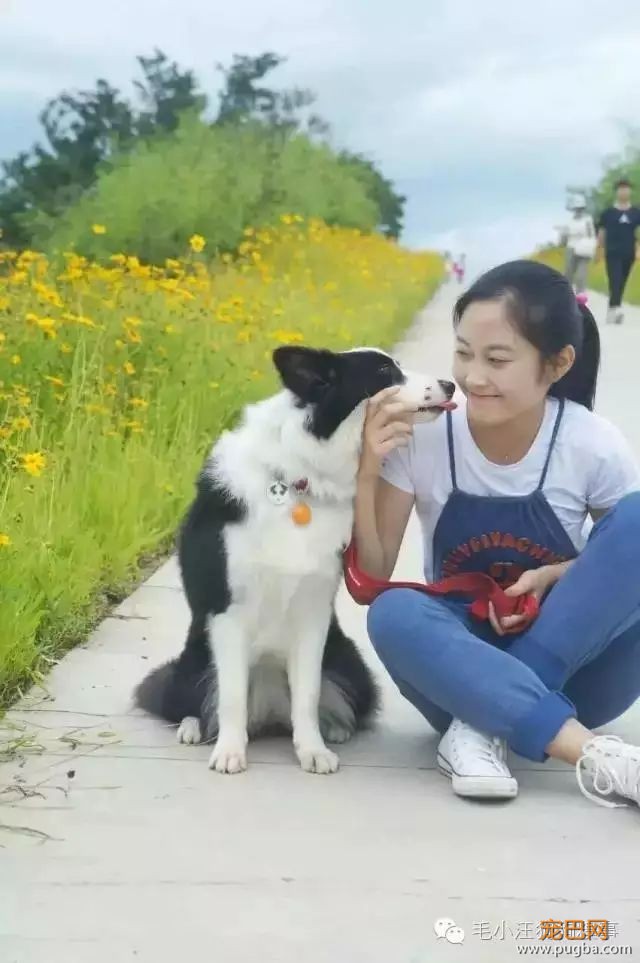 人生第一次养狗，也可能是最后一次...-10.jpeg