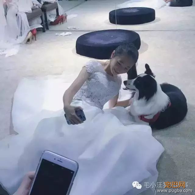 人生第一次养狗，也可能是最后一次...-11.jpeg
