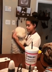 打赌！你肯定躲不过这只狗狗的撒娇攻势~-3.gif