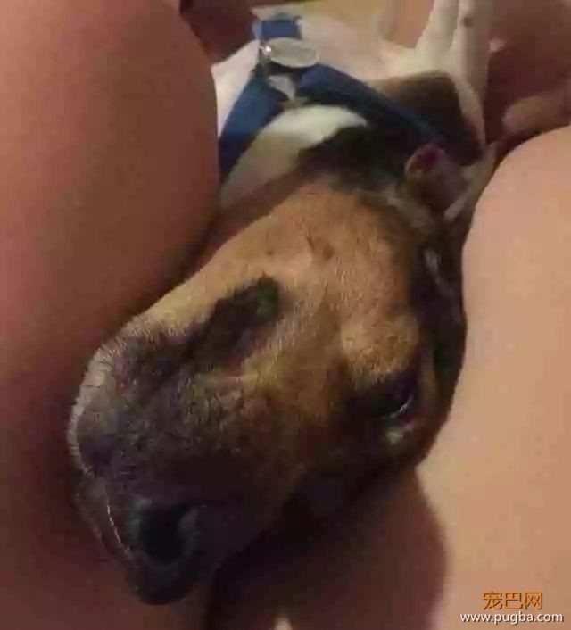 打赌！你肯定躲不过这只狗狗的撒娇攻势~-12.jpeg