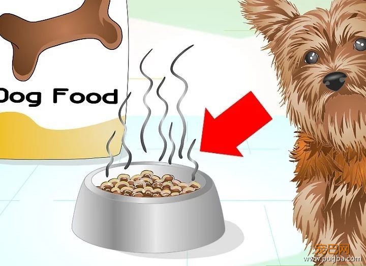 狗狗也可能“食物中毒”？食物储存的误区你中了吗-2.jpeg