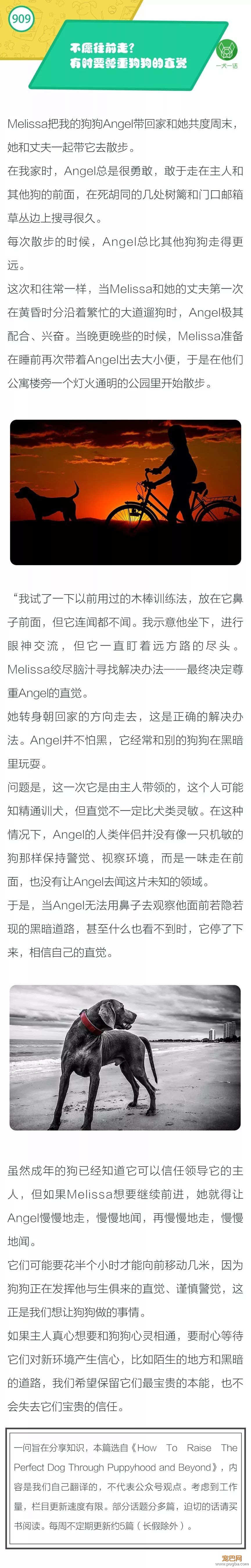 不愿往前走？有时要尊重狗狗的直觉！-1.jpeg