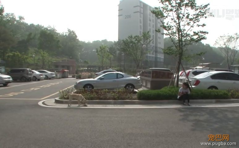 这群小孩，专门给流浪狗“设了个圈套”-10.jpeg