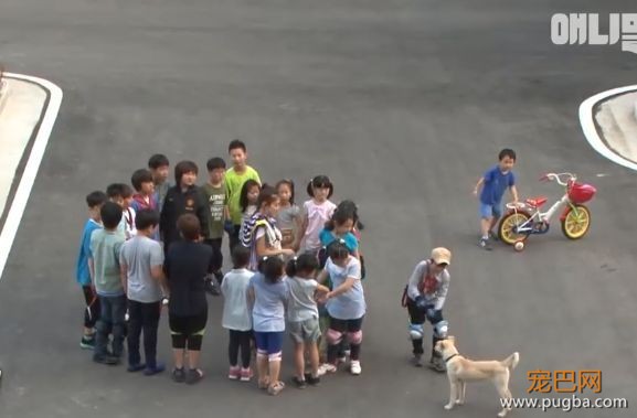 这群小孩，专门给流浪狗“设了个圈套”-15.jpeg