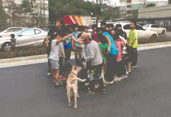 这群小孩，专门给流浪狗“设了个圈套”-16.gif