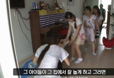 这群小孩，专门给流浪狗“设了个圈套”-19.gif