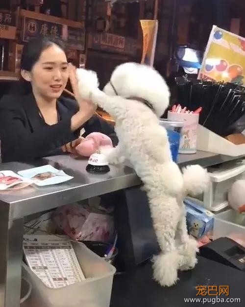 舔狗最高境界！超现实色狗只招待美女顾客，看到男顾客就…-2.jpg