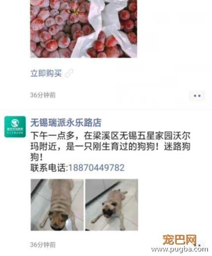 找寻.png