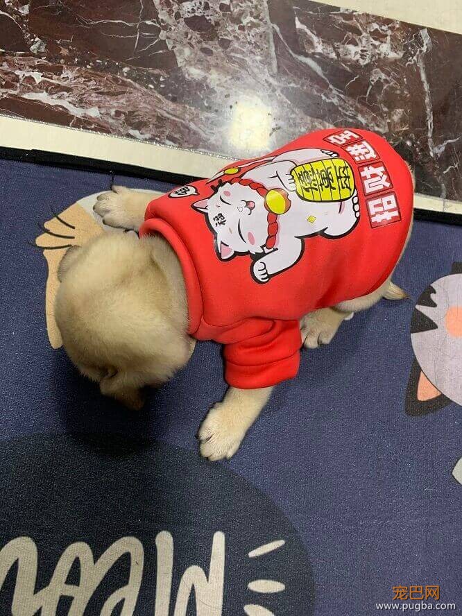 趴.jpg