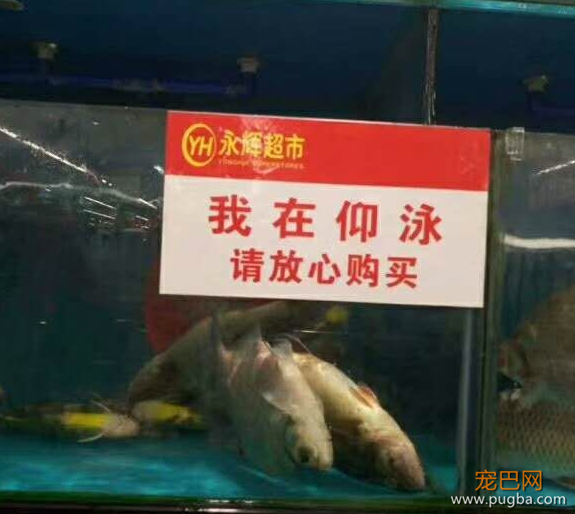 QQ图片20200412004838.png
