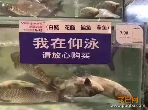 QQ图片20200412004833.png