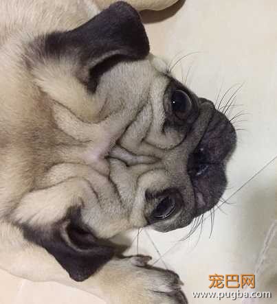 微信图片_20200416110240.jpg