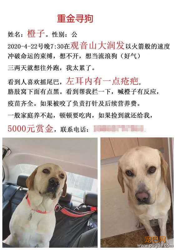 微信图片_20200423155127.jpg