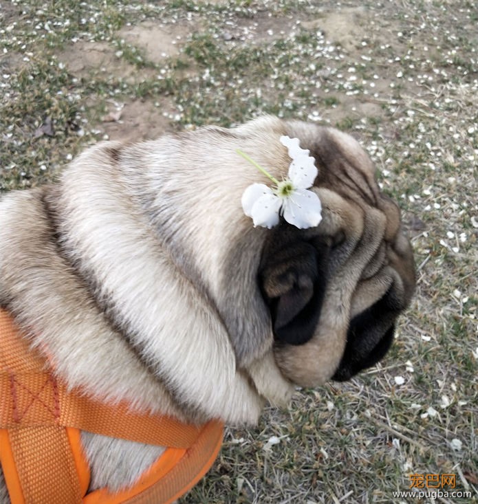 QQ图片20200424095632.jpg