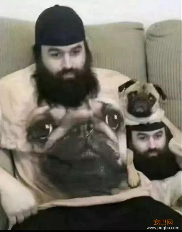 10771543881371897799.jpg