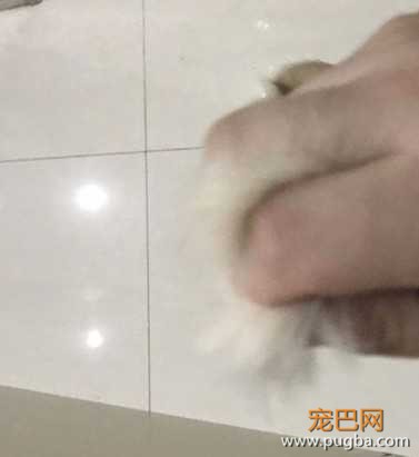 微信图片_20200502015019.jpg