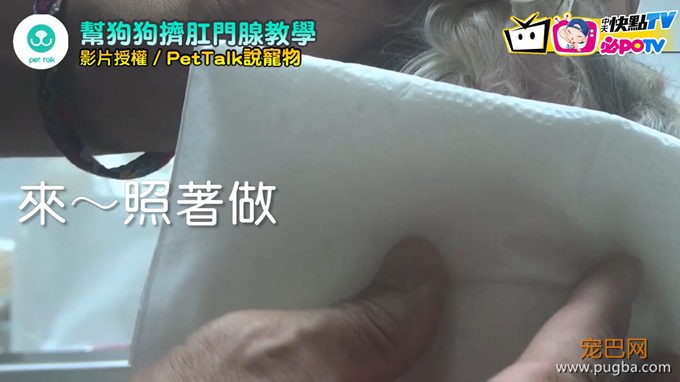 只要1分鐘您也能學會！如何幫狗狗擠肛門腺[00_00_27][20200710-031559].jpg