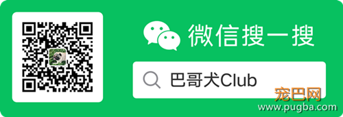 经常更新的公众号