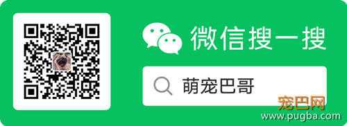 定期更新的公众号