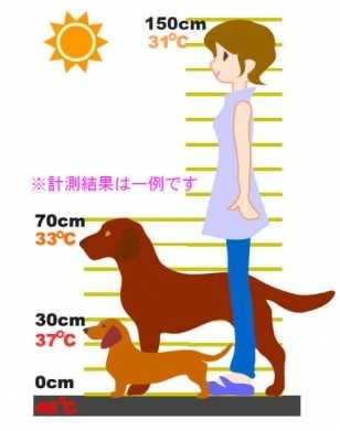 体感温度.jpg