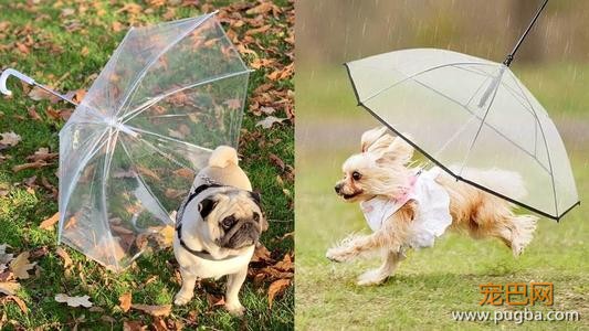 梅雨