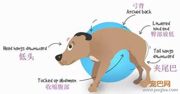 胰腺炎.jpg