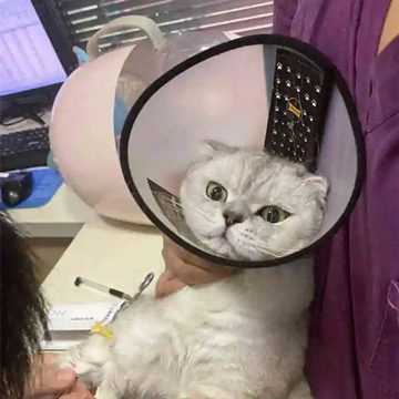 src=http___qcloud.dpfile.com_pc_fnsix_q45hcJKFcgxJyuGp325VvmDHnjJz4hfDMu4wvHh-5i.jpg