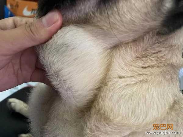 微信图片_20220616124112.jpg
