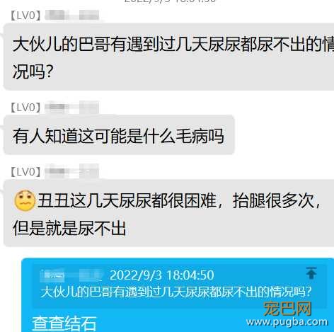 QQ图片20220904123219.png
