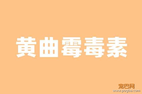 黄曲霉毒素.jpg