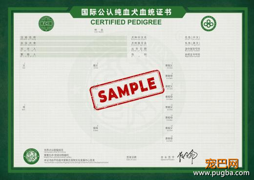 288n3D6679.png.jpg